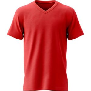 V-Neck T-Shirt